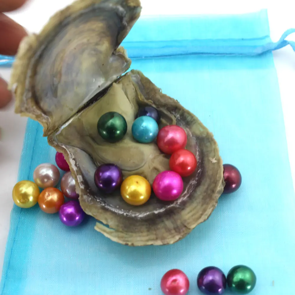 Akoya Oysters 5 бр./лот Edison голям кръг перли естествени перли в морската устрице с вакуумна опаковка направи си САМ Бижута P0018
