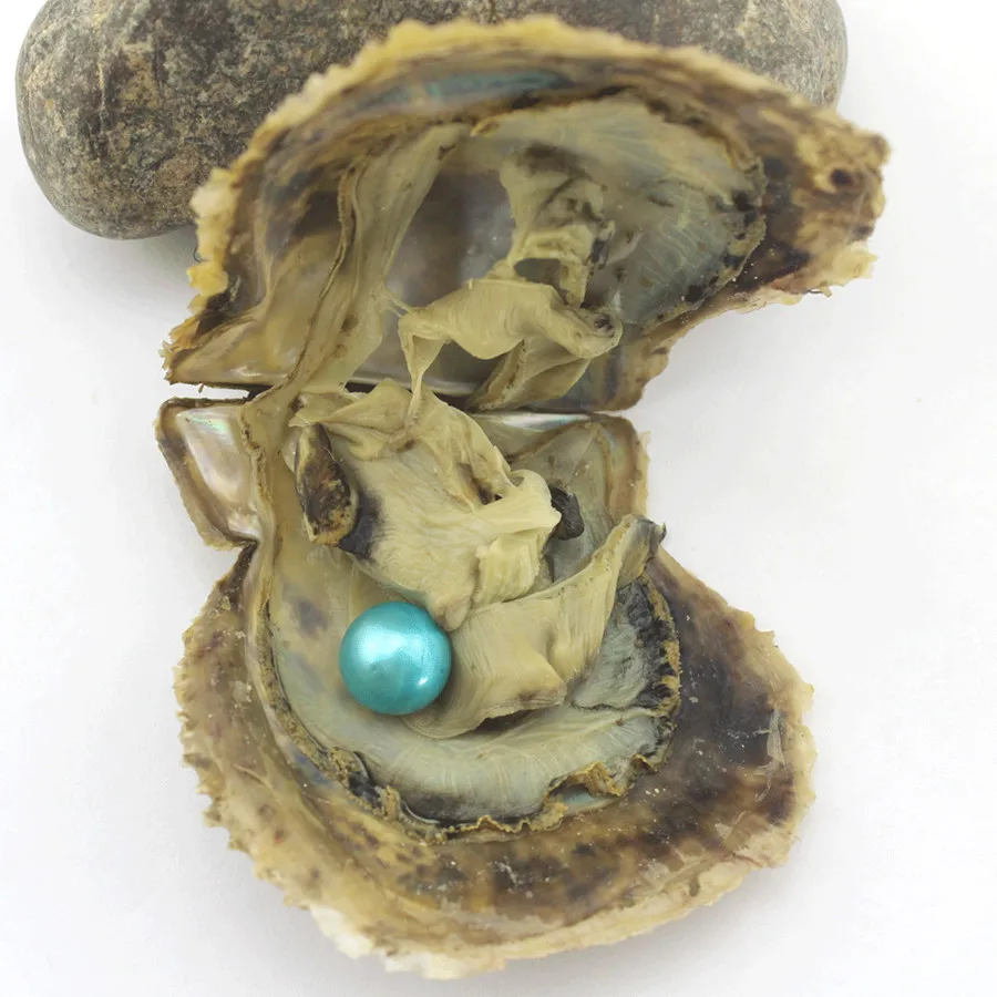 Akoya Oysters 5 бр./лот Edison голям кръг перли естествени перли в морската устрице с вакуумна опаковка направи си САМ Бижута P0018 Изображение 3 