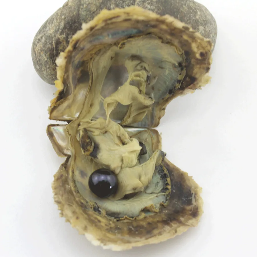 Akoya Oysters 5 бр./лот Edison голям кръг перли естествени перли в морската устрице с вакуумна опаковка направи си САМ Бижута P0018 Изображение 4 